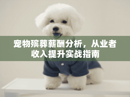 宠物殡葬薪酬分析，从业者收入提升实战指南