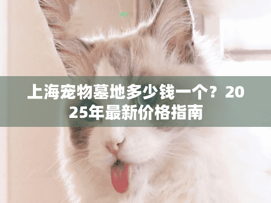 上海宠物墓地多少钱一个？2025年最新价格指南