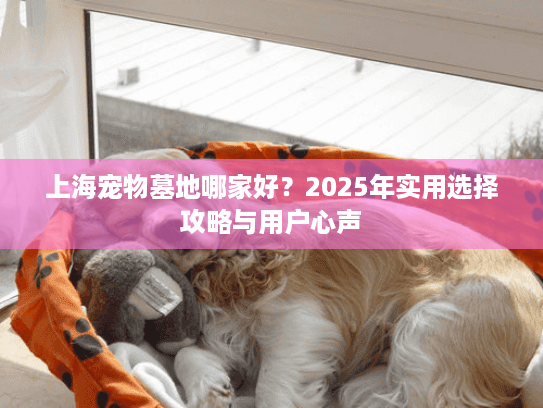 上海宠物墓地哪家好？2025年实用选择攻略与用户心声
