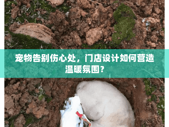 宠物告别伤心处，门店设计如何营造温暖氛围？