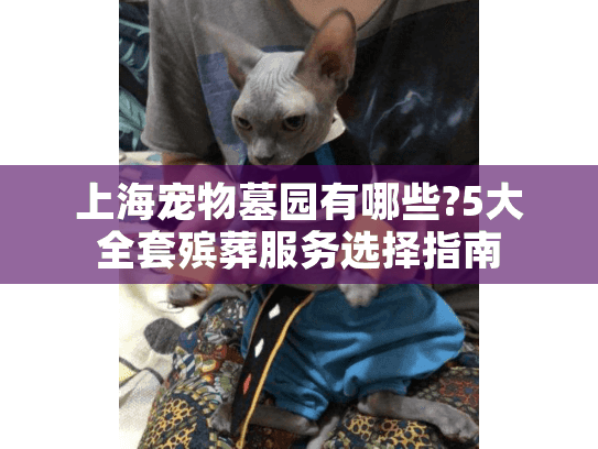 上海宠物墓园有哪些?5大全套殡葬服务选择指南
