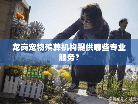 龙岗宠物殡葬机构提供哪些专业服务？