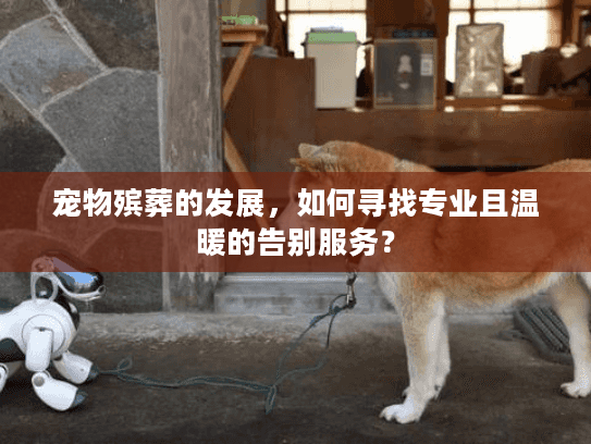 宠物殡葬的发展，如何寻找专业且温暖的告别服务？