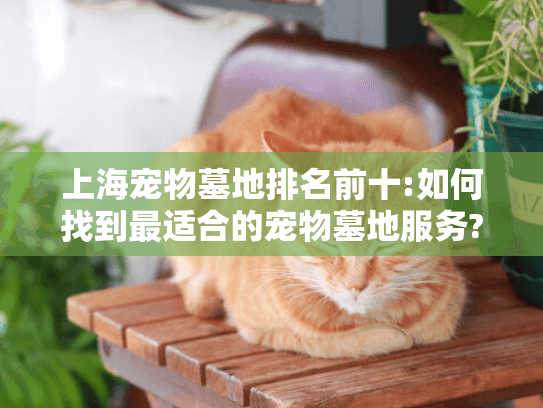 上海宠物墓地排名前十:如何找到最适合的宠物墓地服务?