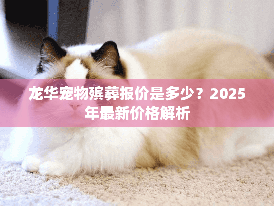 龙华宠物殡葬报价是多少？2025年最新价格解析