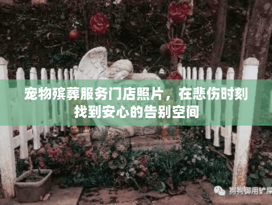 宠物殡葬服务门店照片，在悲伤时刻找到安心的告别空间
