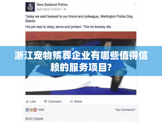 浙江宠物殡葬企业有哪些值得信赖的服务项目?