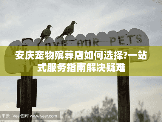 安庆宠物殡葬店如何选择?一站式服务指南解决疑难