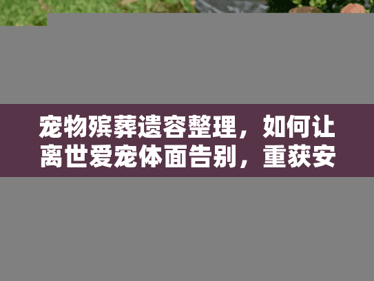 宠物殡葬遗容整理，如何让离世爱宠体面告别，重获安详面容？