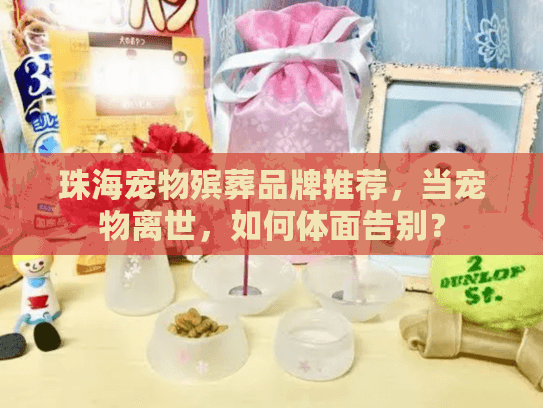 珠海宠物殡葬品牌推荐，当宠物离世，如何体面告别？