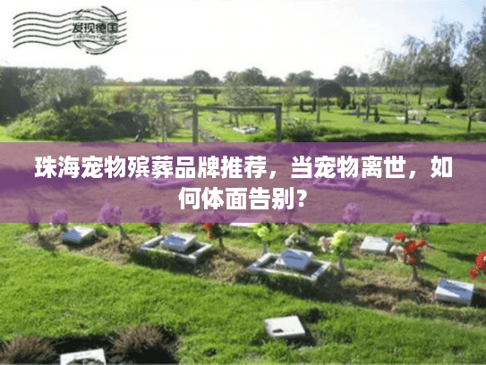 珠海宠物殡葬品牌推荐，当宠物离世，如何体面告别？
