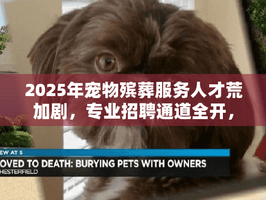 2025年宠物殡葬服务人才荒加剧，专业招聘通道全开，立即加入！