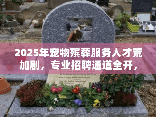 2025年宠物殡葬服务人才荒加剧，专业招聘通道全开，立即加入！