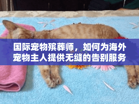 国际宠物殡葬师，如何为海外宠物主人提供无缝的告别服务？