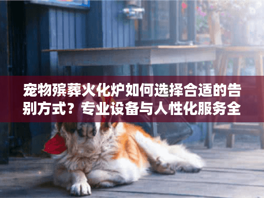 宠物殡葬火化炉如何选择合适的告别方式？专业设备与人性化服务全解析