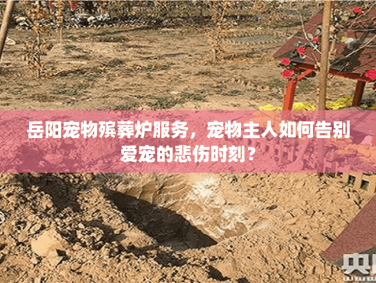 岳阳宠物殡葬炉服务，宠物主人如何告别爱宠的悲伤时刻？