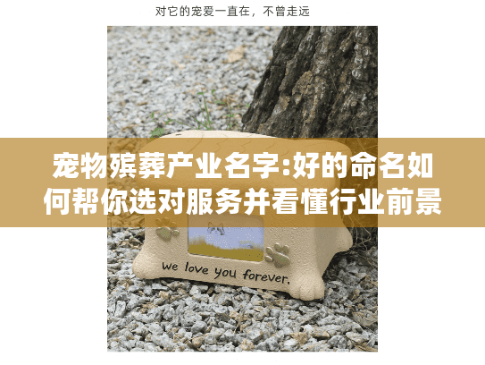 宠物殡葬产业名字:好的命名如何帮你选对服务并看懂行业前景?