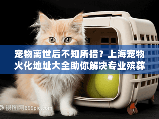 宠物离世后不知所措？上海宠物火化地址大全助你解决专业殡葬服务难题