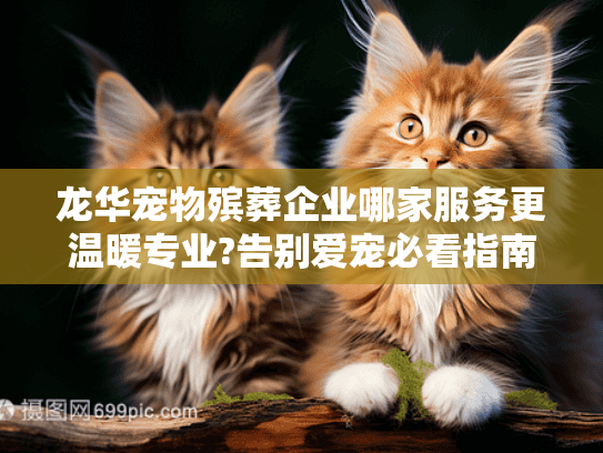 龙华宠物殡葬企业哪家服务更温暖专业?告别爱宠必看指南