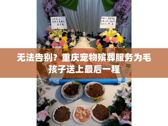 无法告别?重庆宠物殡葬服务为毛孩子送上最后一程 无法告别?重庆宠物殡葬服务为毛孩子送上最后一程