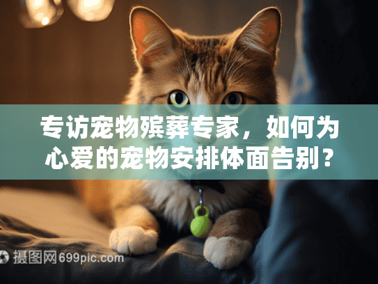 专访宠物殡葬专家，如何为心爱的宠物安排体面告别？