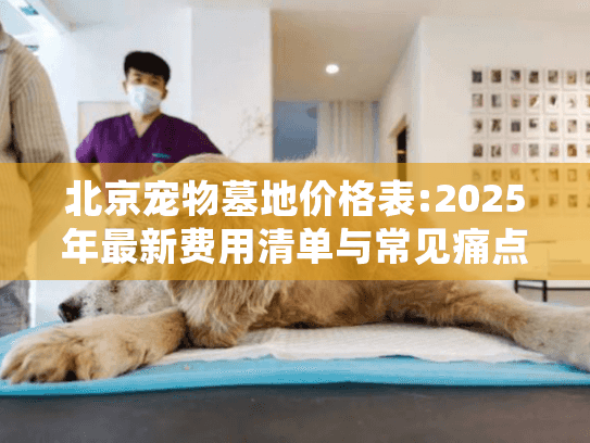 北京宠物墓地价格表:2025年最新费用清单与常见痛点解决指南