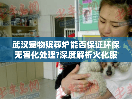 武汉宠物殡葬炉能否保证环保无害化处理?深度解析火化服务全流程
