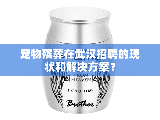 宠物殡葬在武汉招聘的现状和解决方案？