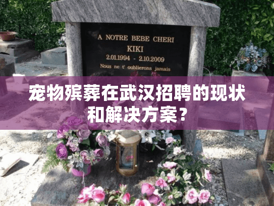 宠物殡葬在武汉招聘的现状和解决方案？