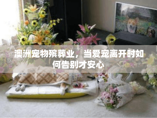 澳洲宠物殡葬业，当爱宠离开时如何告别才安心