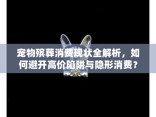 宠物殡葬消费现状全解析，如何避开高价陷阱与隐形消费？