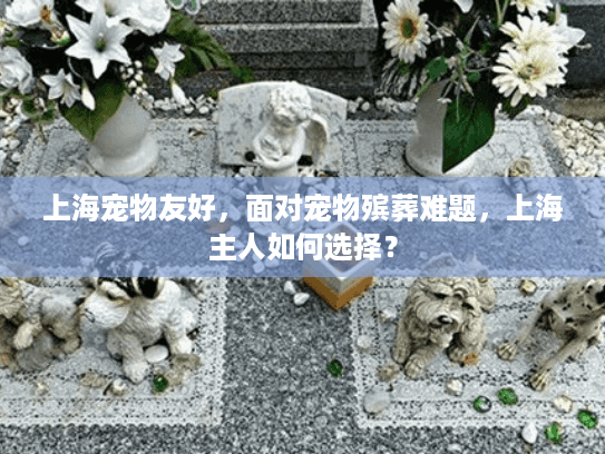 上海宠物友好，面对宠物殡葬难题，上海主人如何选择？