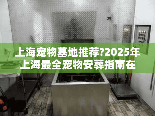 上海宠物墓地推荐?2025年上海最全宠物安葬指南在这里!