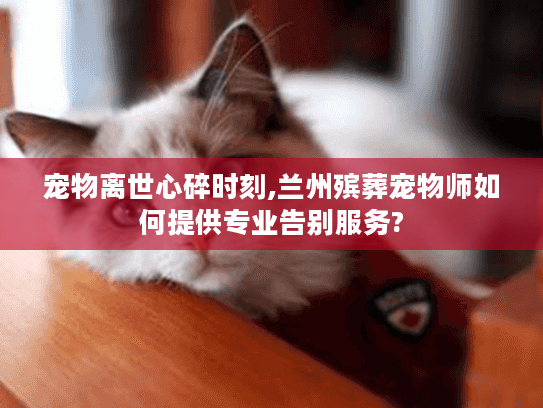 宠物离世心碎时刻,兰州殡葬宠物师如何提供专业告别服务?