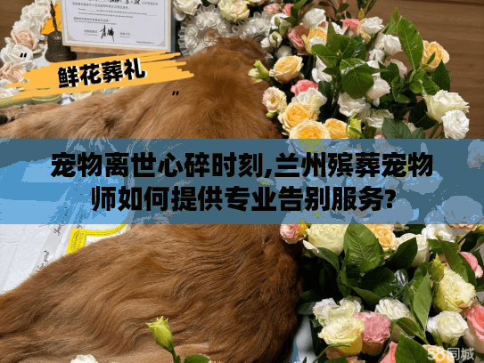 宠物离世心碎时刻,兰州殡葬宠物师如何提供专业告别服务?