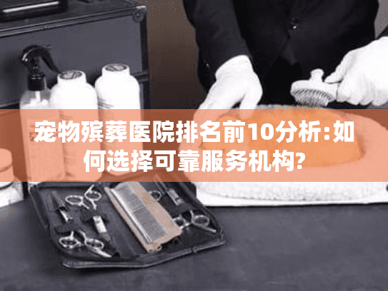 宠物殡葬医院排名前10分析:如何选择可靠服务机构?