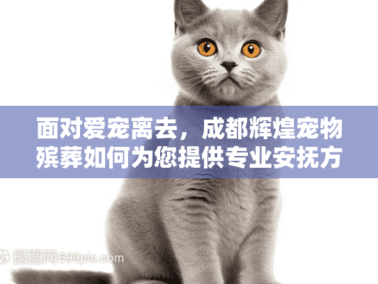 面对爱宠离去，成都辉煌宠物殡葬如何为您提供专业安抚方案？