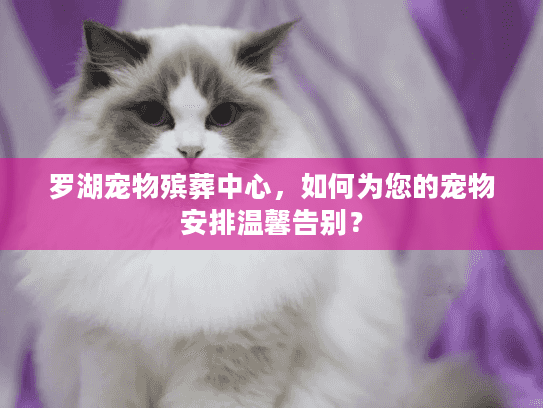 罗湖宠物殡葬中心，如何为您的宠物安排温馨告别？