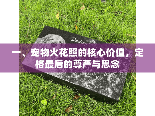 一、宠物火花照的核心价值，定格最后的尊严与思念