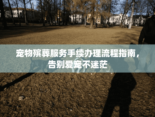 宠物殡葬服务手续办理流程指南，告别爱宠不迷茫