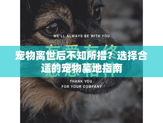 宠物离世后不知所措？选择合适的宠物墓地指南