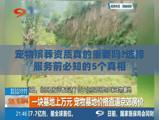 宠物殡葬资质真的重要吗?选择服务前必知的5个真相
