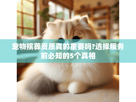 宠物殡葬资质真的重要吗?选择服务前必知的5个真相