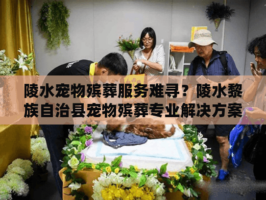 陵水宠物殡葬服务难寻？陵水黎族自治县宠物殡葬专业解决方案在这里