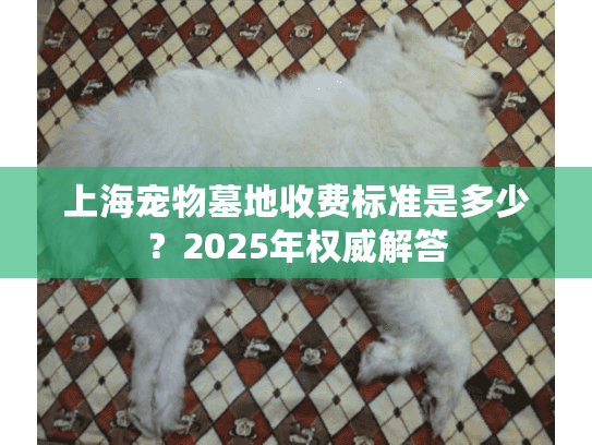 上海宠物墓地收费标准是多少？2025年权威解答