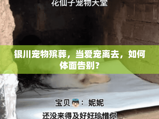 银川宠物殡葬，当爱宠离去，如何体面告别？