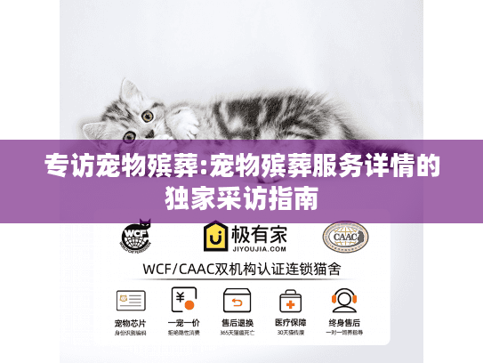专访宠物殡葬:宠物殡葬服务详情的独家采访指南