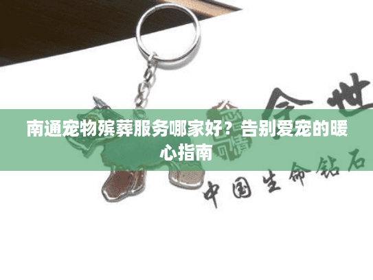 南通宠物殡葬服务哪家好？告别爱宠的暖心指南