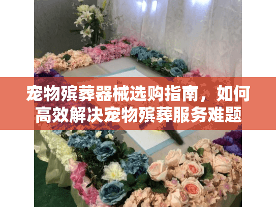 宠物殡葬器械选购指南，如何高效解决宠物殡葬服务难题