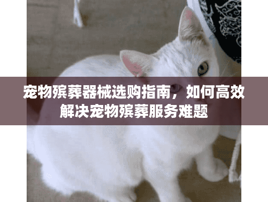 宠物殡葬器械选购指南，如何高效解决宠物殡葬服务难题
